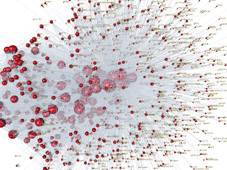 gene expression covariance network